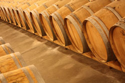 Château Suduiraut - Chai